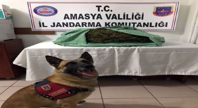 9 kiloluk uyuşturucu bohçasını ‘Atak' yakalattı