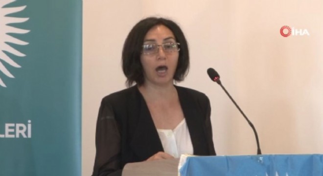 'İran'daki Türklük meselesi çözüme ulaşmalı'
