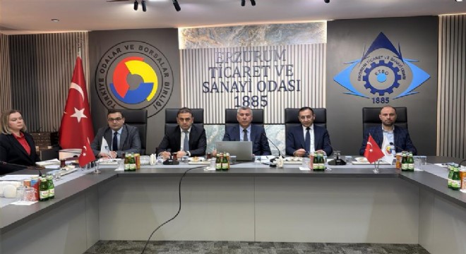 OSB'ye 246 hektarlık ilave alan