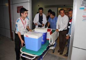 Organlarıyla 5 kişi hayata tutundu