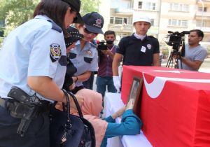  “Çoruh uyuyor, alçaklar, hainler uyumuyor”