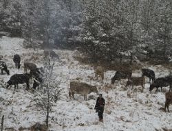 11 Köy Yolu ulaşıma kapalı