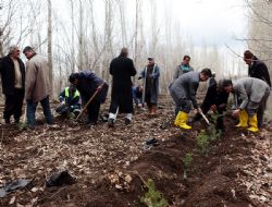 Atatürk Üniversitesi'ne yeni bir orman 
