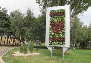 Erzurum'un ilk Dikey Bahçesi kuruldu