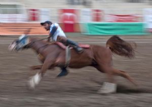 12 takım cirit şöleninde yarışıyor