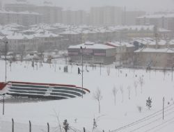 Bir gün bahar, bir gün kış