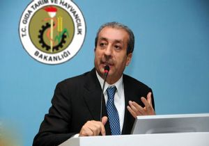 Besicilere yüzde 80 hibe desteği verilecek