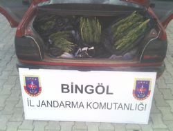 13 kilo esrar ele geçirildi