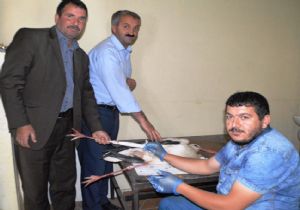 Doğu'dan merhamet dersi