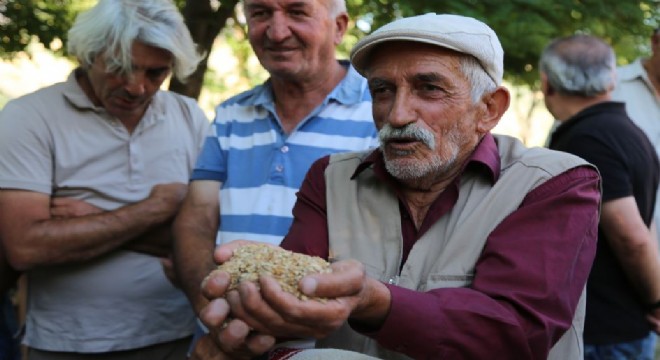 150 yıllık 