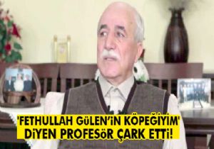 FETÖ'cü profesör: ‘Saygım ve sevgim bitmiştir'