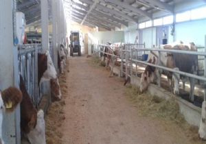 Tarım'da DAP sinerjisi