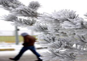 Erzurum'da 1 gün kar 4 gün güneş var