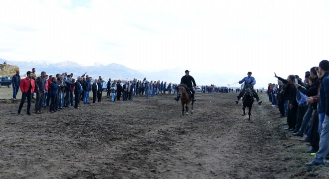 20 ilden 100 binici Erzurum'da yarıştı