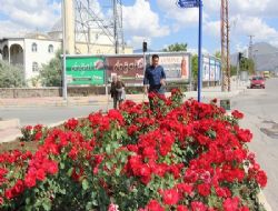 Aziziye çiçeklerle bezendi