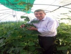 Pasinler'de ilk hasat