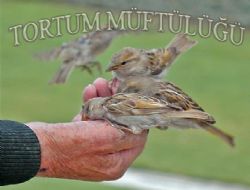 Gençlerin ilgisini çektiler...