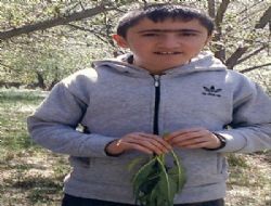 Gözü yaşlı baba oğlunu arıyor