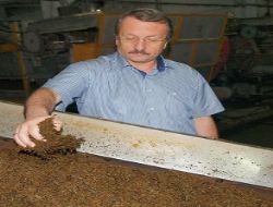 Kanatlı tehdit mercek altında