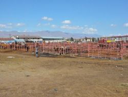 Gündem'de ‘Kurban' var