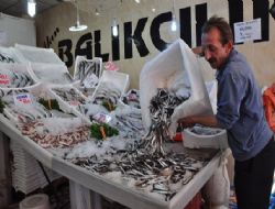 Erzurumlu hamsiyi tercih ediyor