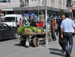 At arabası nostalji oluyor