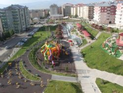 Palandökende beyaz ve yeşil buluşması