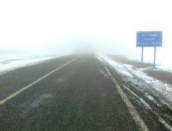 Ovit beyaza büründü