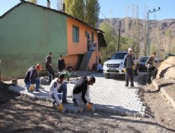 Oltu'da örnek köy uygulaması