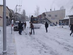 Tekman'da kar seferberliği