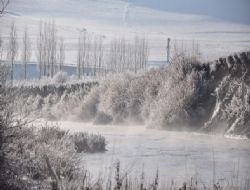 Ağaçlar buz tuttu