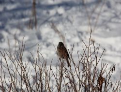 Soğukta Bölge rekoru Erzurum'un