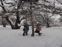 Erzurum'da Okullara kar tatili