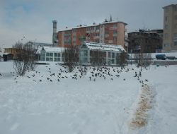 645 köy yolu kapalı