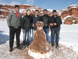 Peri Bacalarında renk armonisi