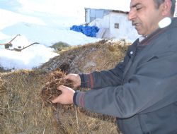İthal ota çiftçi tepkisi