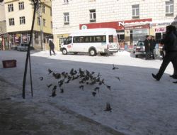 ‘Onların üstümüzde hakkı var'