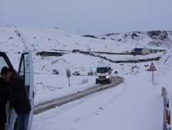Kağızman yolunda kurt uyarısı