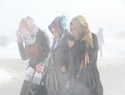 Erzurum'da 335 köy yolu kapandı