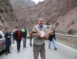 Avukattan doğa duyarlılığı