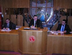 DAP'ta kalkınma seferberliği