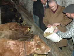 Önce makarna, sonra patates