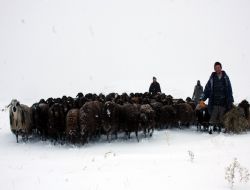 Alibey komuna zorlu yolculuk