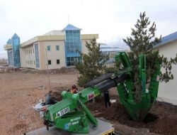 Yeni Terminal'de çevre düzenlemesi