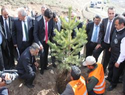 Hasan Dede'ye 4 milyon fidan