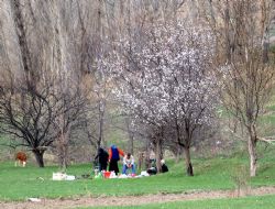 Piknik mi, çöplük mü?