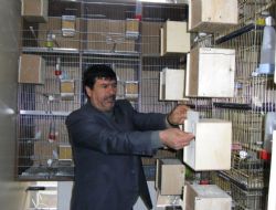 Hobi'den üreticiliğe…