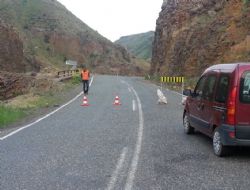Kağızman yolu trafiğe kapatıldı