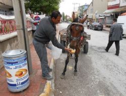 ‘Ekmek nimettir, çöpe atılmaz'