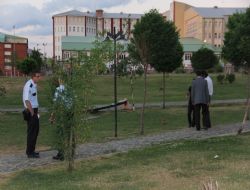 Top yerine, ses bombası